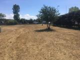 Particella, FORNACE, 400.000 €, 3000,00 mq