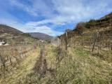 Particella, GUSSAGO, 110.000 €, 14500,00 mq
