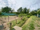 Particella, GOLASECCA, 65.000 €, 1670,00 mq