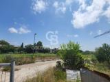 Particella, POMEZIA, Santa Procula, 80.000 €, 1061,00 mq