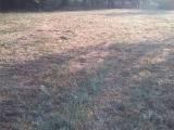 Particella, FERENTINO, 35.000 €, 1000,00 mq