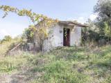 Particella, PALOMBARA SABINA, 26.000 €, 25,00 mq