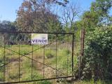 Particella, ANZIO, 80.000 €, 1300,00 mq