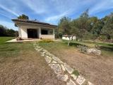 Casa, ALGHERO, 320.000 €, 66,00 mq