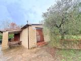 Particella, MANCIANO, 75.000 €, 50,00 mq