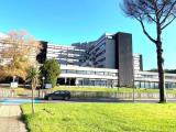 Superfici commerciali, ROMA, Magliana, 290.000 €, 250,00 mq