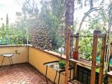 Affitto, Appartamento, FIRENZE, 850 €, 45,00 mq