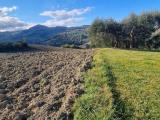 Particella, SALUDECIO, 35.000 €, 9199,00 mq