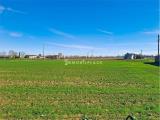 Particella, CEREA, 30.000 €, 6111,00 mq