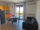 Affitto, Appartamento, PISA, 750 €, 50,00 mq