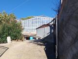 Particella, TAGGIA, 200.000 €, 7295,00 mq