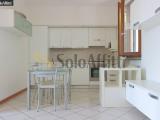 Affitto, Appartamento, SEREGNO, 589 €, 48,00 mq