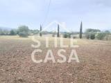 Particella, CASTELFRANCO DI SOTTO, 60.000 €, 4200,00 mq