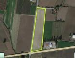 Particella, MONSELICE, 120.000 €, 17251,00 mq