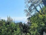 Particella, NAPOLI, Posillipo, 150.000 €, 1200,00 mq