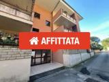 Affitto, Appartamento, VELLETRI, 500 €, 53,00 mq