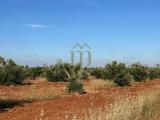 Particella, BRINDISI, 66.000 €, 32382,00 mq