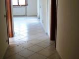 Affitto, Superfici commerciali, COSENZA, 800 €, 128,00 mq