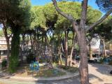 Appartamento, CERVIA, 650.000 €, 120,00 mq