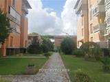 Appartamento, GROSSETO, 140.000 €, 75,00 mq