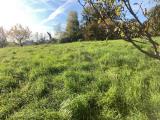 Particella, FONTE, 68.000 €, 9909,00 mq