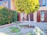 Appartamento, GOITO, 88.000 €, 75,00 mq