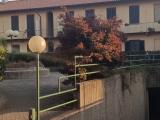 Affitto, Appartamento, MONZA, 950 €, 100,00 mq