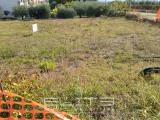Particella, OSIMO, 110.000 €, 713,00 mq