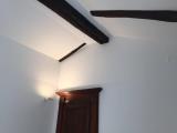 Affitto, Appartamento, TORINO, 750 €, 50,00 mq