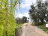 Garage, PALOMBARA SABINA, 67.000 €, 36,00 mq