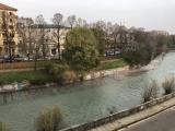 Affitto, Appartamento, TORINO, 650 €, 45,00 mq