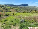 Particella, MARINO, 65.000 €, 5447,00 mq