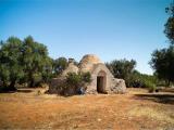 Particella, SAN MICHELE SALENTINO, 45.000 €, 40,00 mq
