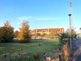 Particella, ISOLA VICENTINA, 95.000 €, 850,00 mq