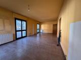 Superfici commerciali, LUCCA, 270.000 €, 240,00 mq