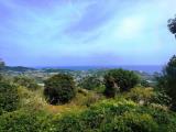 Particella, SANREMO, 29.000 €, 3866,00 mq