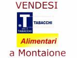 Superfici commerciali, MONTAIONE, 99.000 €, 146,00 mq