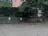 Affitto, Casa, BOLOGNA, <i>A richiesta</i>