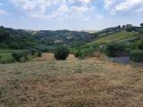 Particella, MONTEROTONDO, 65.000 €, 3087,00 mq