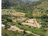 Particella, AVOLA, 95.000 €, 13440,00 mq