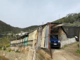 Particella, TAGGIA, 75.000 €, 204,00 mq