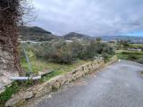 Particella, TAGGIA, 23.000 €, 765,00 mq