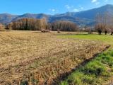 Particella, CUVEGLIO, 20.000 €, 2050,00 mq