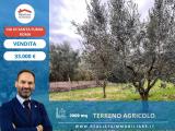 Particella, ROMA, 33.000 €, 2000,00 mq