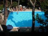 Affitto, Appartamento, ROSIGNANO MARITTIMO, 1.900 €, 50,00 mq