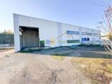 Superfici commerciali, CHIETI, 160.000 €, 390,00 mq