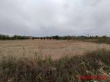 Particella, ISPICA, 19.000 €, 6976,00 mq