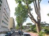 Appartamento, ROMA, Colombo, 399.000 €, 125,00 mq