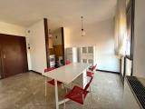 Affitto, Appartamento, PADOVA, 635 €, 53,00 mq
