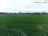Particella, MONSAMPOLO DEL TRONTO, 115.000 €, 9810,00 mq